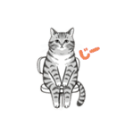トラ猫 モフたん かわいい日常＆癒しstamp（個別スタンプ：21）