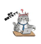 トラ猫 モフたん かわいい日常＆癒しstamp（個別スタンプ：22）