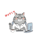 トラ猫 モフたん かわいい日常＆癒しstamp（個別スタンプ：24）