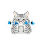 トラ猫 モフたん かわいい日常＆癒しstamp（個別スタンプ：25）