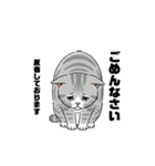 トラ猫 モフたん かわいい日常＆癒しstamp（個別スタンプ：26）