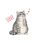 トラ猫 モフたん かわいい日常＆癒しstamp（個別スタンプ：28）