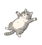 トラ猫 モフたん かわいい日常＆癒しstamp（個別スタンプ：31）
