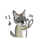うちの猫るりぽん ちょっとリアル（個別スタンプ：4）