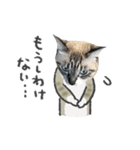 うちの猫るりぽん ちょっとリアル（個別スタンプ：19）