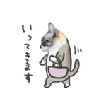 うちの猫るりぽん ちょっとリアル（個別スタンプ：22）