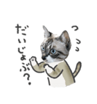 うちの猫るりぽん ちょっとリアル（個別スタンプ：30）