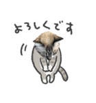 うちの猫るりぽん ちょっとリアル（個別スタンプ：34）