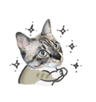 うちの猫るりぽん ちょっとリアル（個別スタンプ：36）