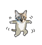 うちの猫るりぽん ちょっとリアル（個別スタンプ：39）