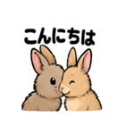 ふわもこうさぎの毎日スタンプ（個別スタンプ：1）