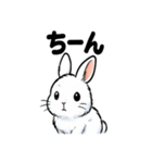 ふわもこうさぎの毎日スタンプ（個別スタンプ：2）