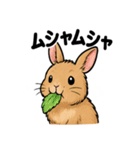 ふわもこうさぎの毎日スタンプ（個別スタンプ：5）