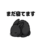 ふわもこうさぎの毎日スタンプ（個別スタンプ：8）