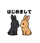 ふわもこうさぎの毎日スタンプ（個別スタンプ：11）