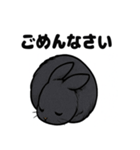 ふわもこうさぎの毎日スタンプ（個別スタンプ：15）