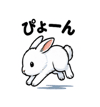 ふわもこうさぎの毎日スタンプ（個別スタンプ：17）