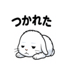 ふわもこうさぎの毎日スタンプ（個別スタンプ：20）