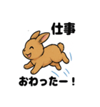 ふわもこうさぎの毎日スタンプ（個別スタンプ：22）