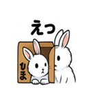 ふわもこうさぎの毎日スタンプ（個別スタンプ：24）