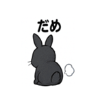 ふわもこうさぎの毎日スタンプ（個別スタンプ：31）