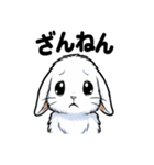 ふわもこうさぎの毎日スタンプ（個別スタンプ：36）