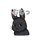 ふわもこうさぎの毎日スタンプ（個別スタンプ：37）