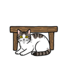 かわいいキジトラのスタンプ2（個別スタンプ：12）