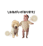 suipino（個別スタンプ：19）