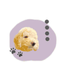 suipino（個別スタンプ：31）
