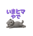 関西弁スコのゆる3Dねこ（個別スタンプ：19）