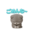 関西弁スコのゆる3Dねこ（個別スタンプ：21）