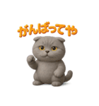 関西弁スコのゆる3Dねこ（個別スタンプ：24）