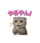 関西弁スコのゆる3Dねこ（個別スタンプ：26）