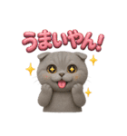関西弁スコのゆる3Dねこ（個別スタンプ：34）