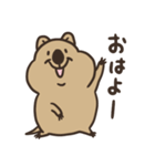 ニコッとワラえばクアッカ笑ビー。（個別スタンプ：1）