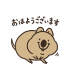 ニコッとワラえばクアッカ笑ビー。（個別スタンプ：2）