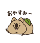 ニコッとワラえばクアッカ笑ビー。（個別スタンプ：3）