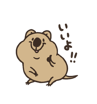 ニコッとワラえばクアッカ笑ビー。（個別スタンプ：6）