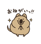 ニコッとワラえばクアッカ笑ビー。（個別スタンプ：9）