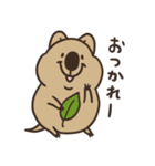 ニコッとワラえばクアッカ笑ビー。（個別スタンプ：13）