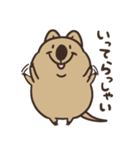 ニコッとワラえばクアッカ笑ビー。（個別スタンプ：18）