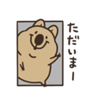 ニコッとワラえばクアッカ笑ビー。（個別スタンプ：19）