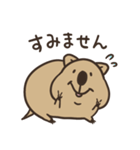 ニコッとワラえばクアッカ笑ビー。（個別スタンプ：21）