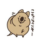 ニコッとワラえばクアッカ笑ビー。（個別スタンプ：24）
