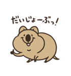 ニコッとワラえばクアッカ笑ビー。（個別スタンプ：25）
