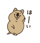 ニコッとワラえばクアッカ笑ビー。（個別スタンプ：26）