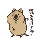 ニコッとワラえばクアッカ笑ビー。（個別スタンプ：27）
