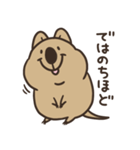 ニコッとワラえばクアッカ笑ビー。（個別スタンプ：28）
