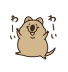 ニコッとワラえばクアッカ笑ビー。（個別スタンプ：29）